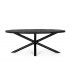Tavolo Ovale HASTINGS in Legno di Mango Nero 200x110