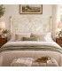 Testata letto matrimoniale in ferro battuto Ester - Bianco oro - copertina della finitura
