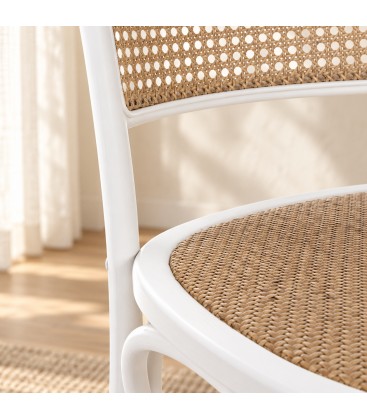 Sedia Carrel bianco – con struttura in legno di olmo ambientato