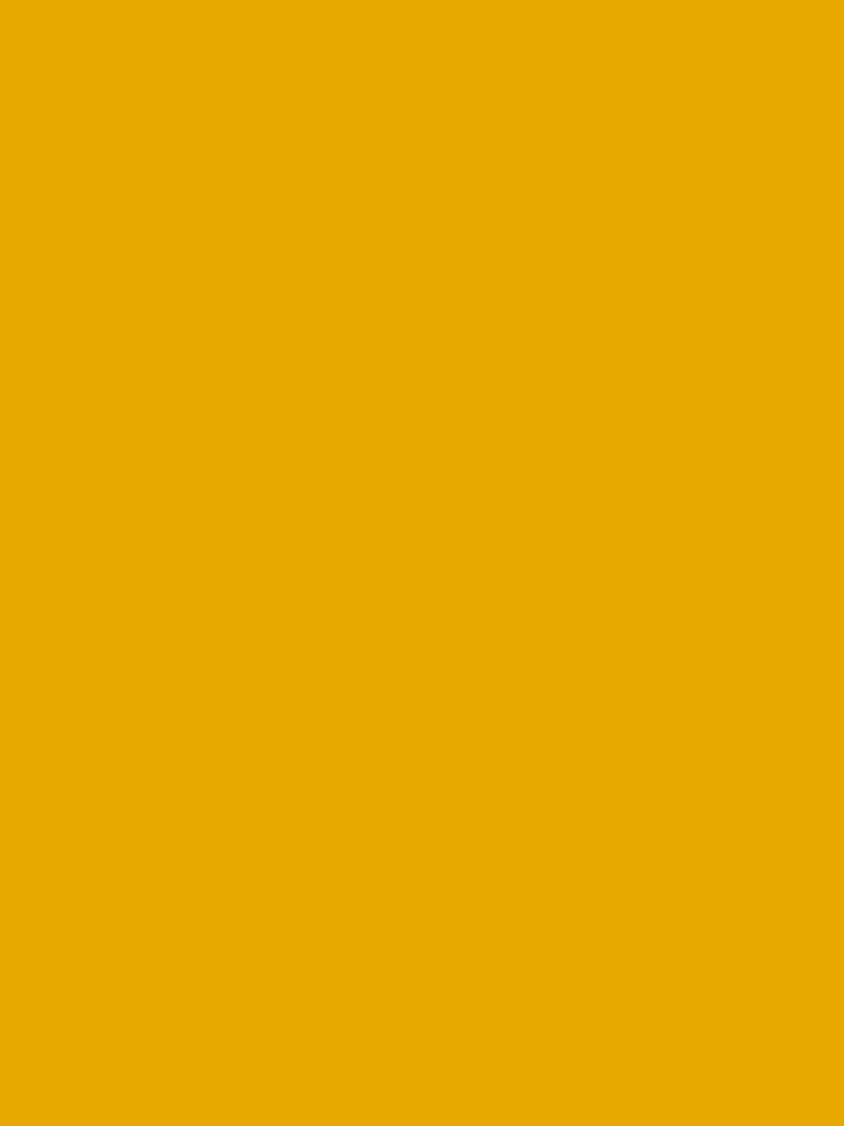 Giallo RAL1004