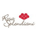 Rosa Splendiani